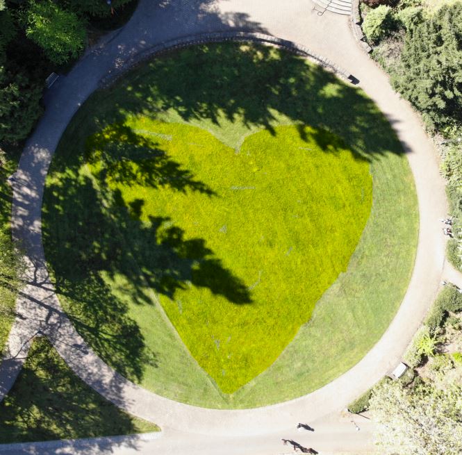 Image of the Glade lawn from above. 