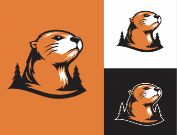 Primary mascot image over orange, white, and black backgrounds.