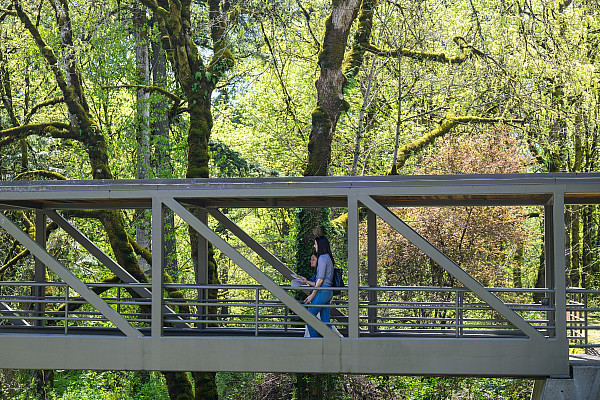 Students walking across the covered bridge on the law campus.