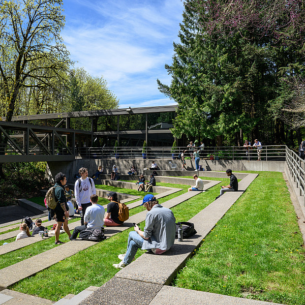 Law amphitheater Students at the law amphitheater