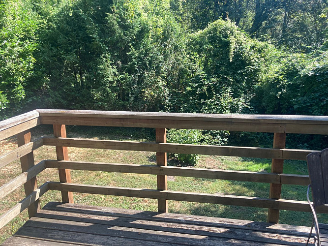 10512 Backyard
