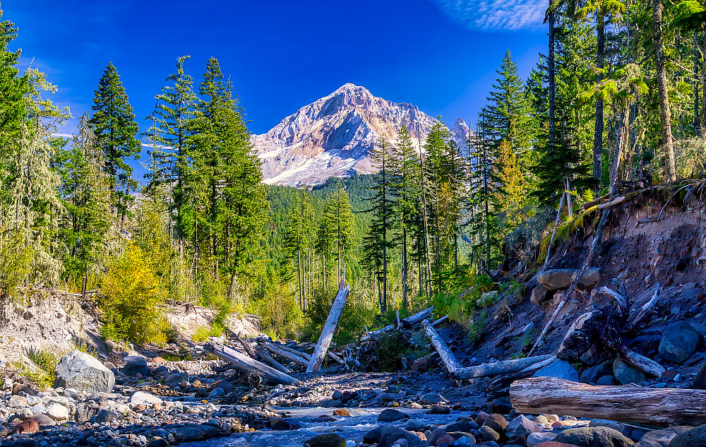A photo of Mount Hood with a blue sky, forest, and river