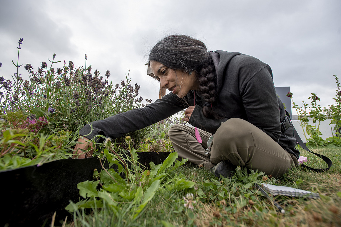 Assistant Professor of Biology Heidi Leire