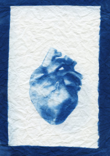 Blue and white anatomical heart on white background