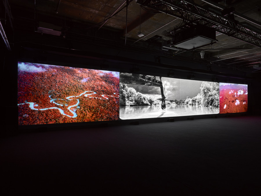 Richard Mosse, Broken Spectre