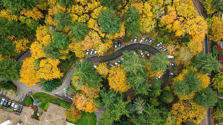 Parking Lot P Bird's Eye View