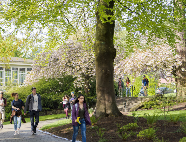 Campus in the spring.