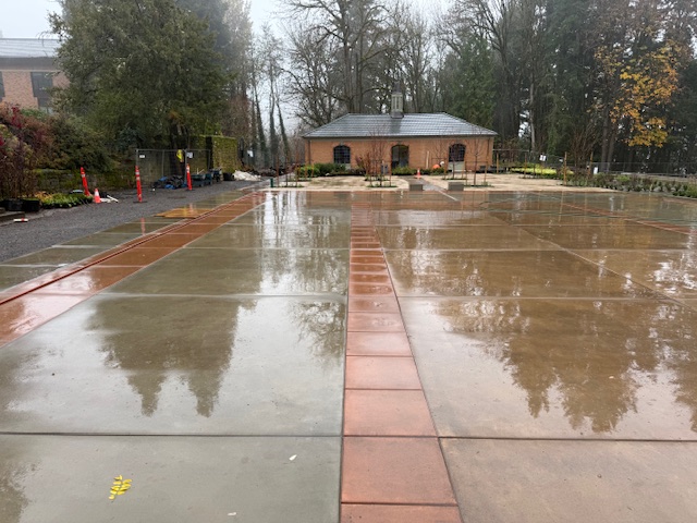 New Concrete after Renovation