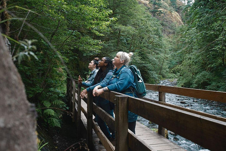 Image Description: Three people look up into the trees from a wooden bridge. The bridge spans a creek in the forest, and green trees surr...