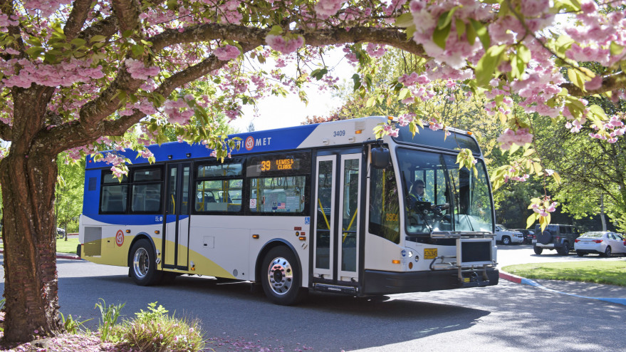 Trimet bus and blossoms Trimet bus on the Lewis & Clark campus