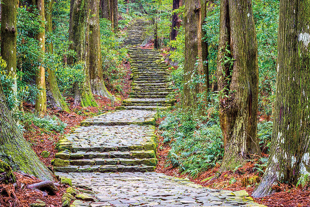 An inviting path along the historic Kumano Kodo pilgrimage route in Japan.