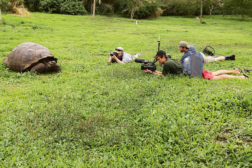 Observing Galapagos giant tortoises and documenting their migration to create online virtual field trips--Santa Cruz Island highlands, Ga...
