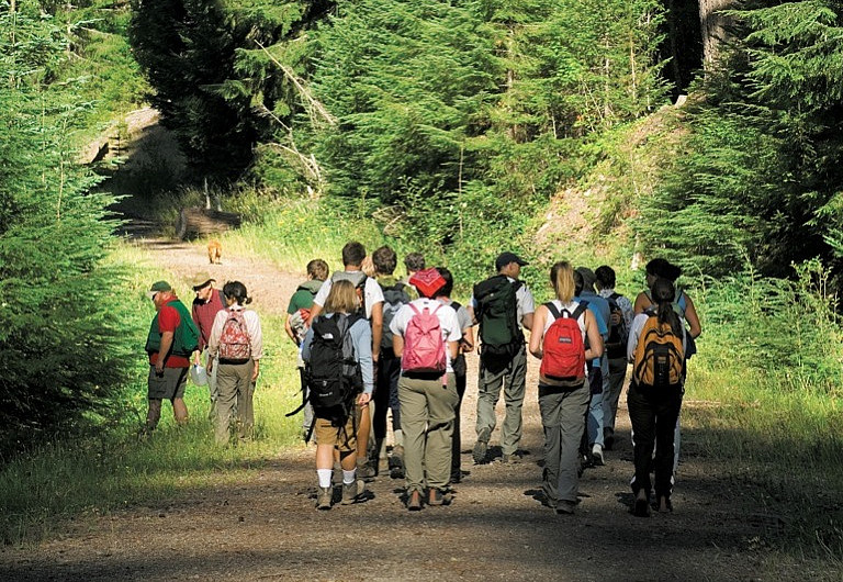 Students enter the Goat Marsh Research Natural Area on the southwestern slopes of Mount St. Helens in Washington. One of their first task...