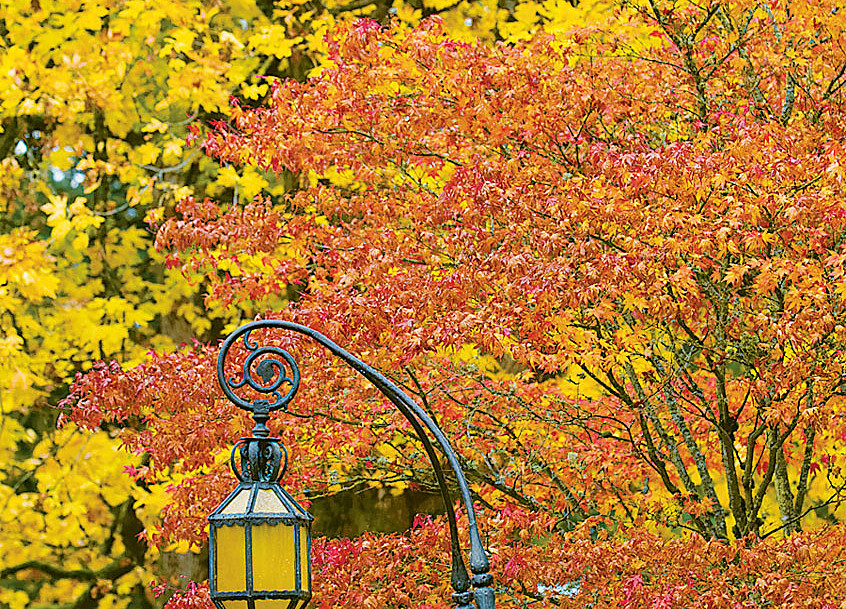 Gatehouse lantern