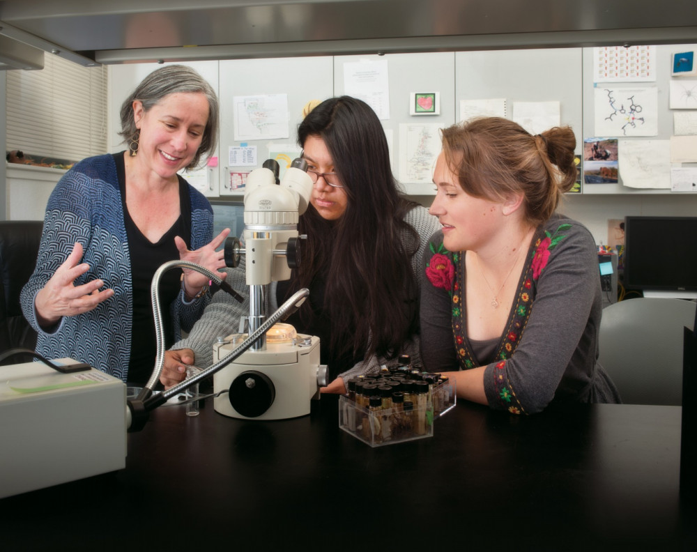 Sarai Miranda BA '20 (center) works with lab assistant Sophia Horigan BA '17 and Associate Professor of Biology Greta Binford to study pr...