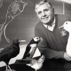 Tom Darrow