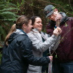 Seeing the Forest and the Trees