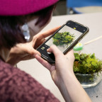 This year's Moss Appreciation Week included a variety of activities, including a Moss Petting Zoo, a terrarium-building workshop, and a M...
