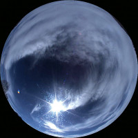 Cirriform