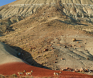 Science in the Painted Hills, Oregon 2009
