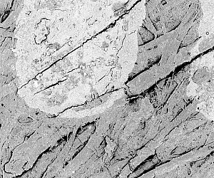 The surface of a dollar bill, transformed by the power of an electron microscope.