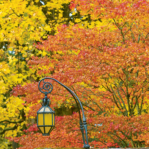Gatehouse lantern
