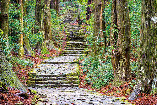 An inviting path along the historic Kumano Kodo pilgrimage route in Japan.