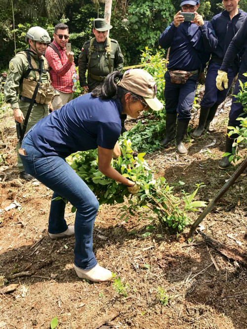 In Colombia with a coca eradication team, part of an effort to address cocaine production