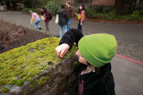 This year's Moss Appreciation Week included a variety of activities, including a Moss Petting Zoo, a terrarium-building workshop, and a M...