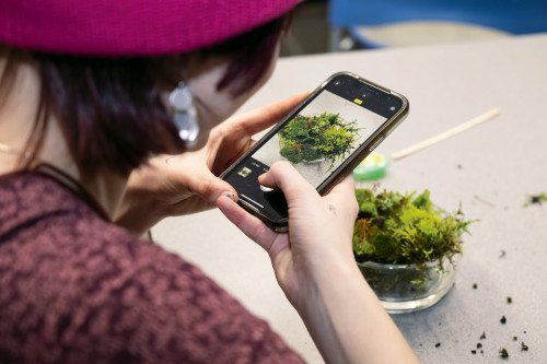 This year's Moss Appreciation Week included a variety of activities, including a Moss Petting Zoo, a terrarium-building workshop, and a M...