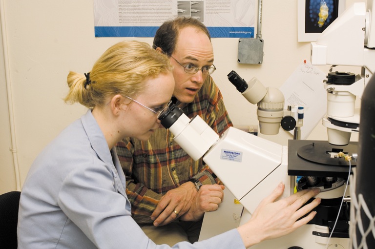 Beverley Rabbitts '06 microinjects a worm to alter its gene expression while Greg Hermann, assistant professor of biology, looks on.
