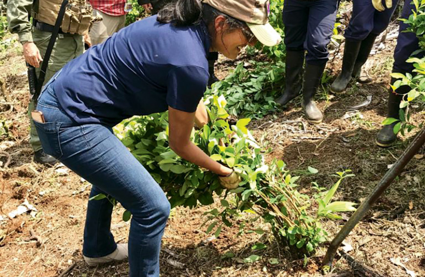 In Colombia with a coca eradication team, part of an effort to address cocaine production