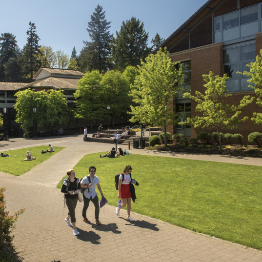 Students walking on the undergraduate campus