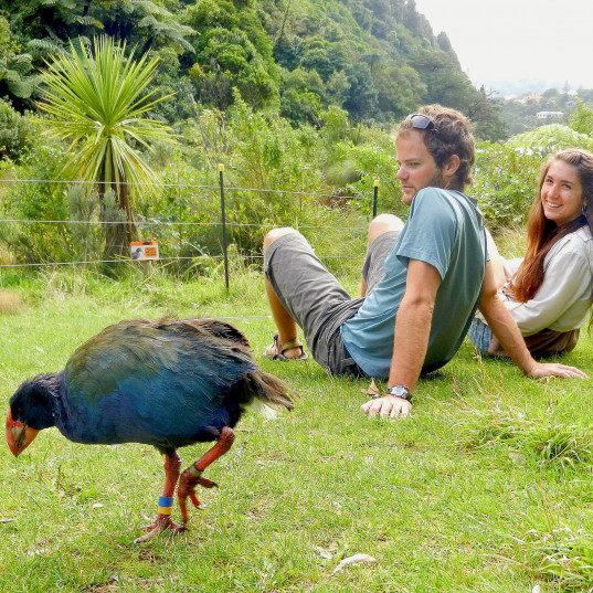New Zealand overseas program