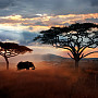 Wild African elephant in the savannah. Serengeti National Park. Wildlife of Tanzania. African landscape.