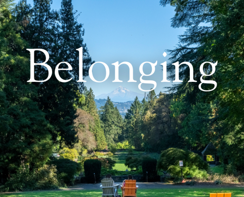 Belonging Thumbnail