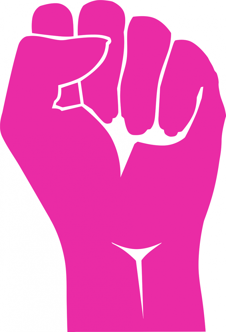 Pink Fist