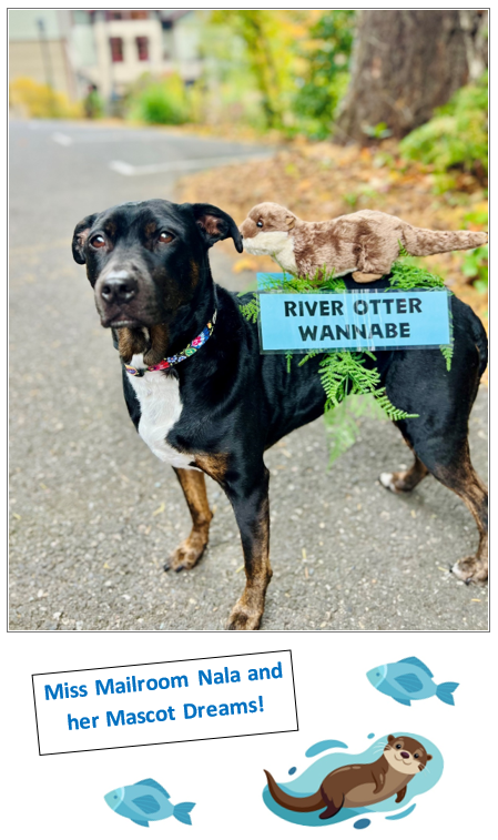 “River Otter Wannabe!, by Miss Nala the Mailroom Dog!