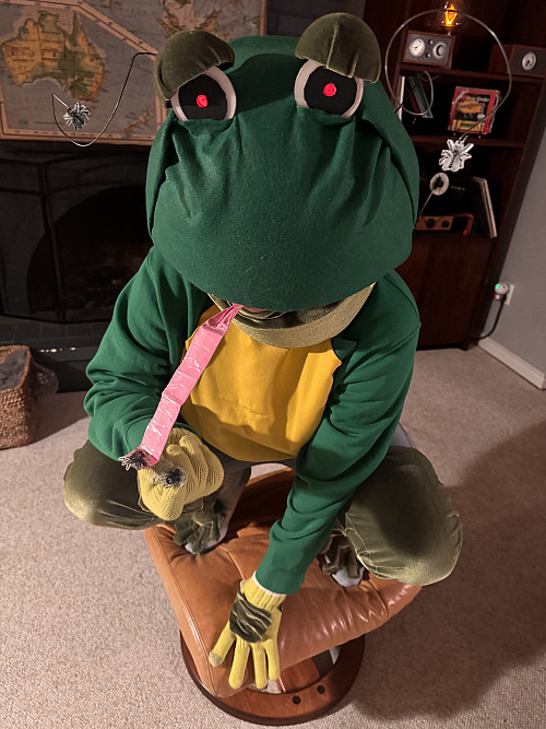 “Solidarity Frog (Lazer eyes shrink ICE flies), by Mary Andrus