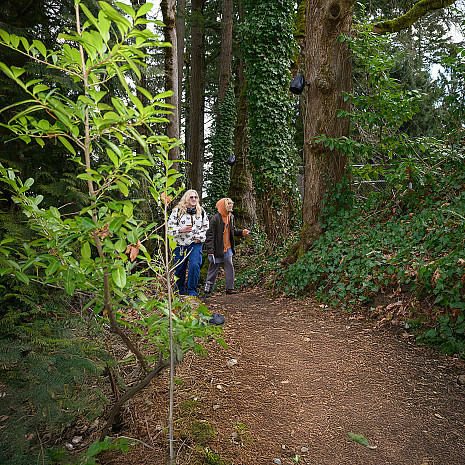 Students walking in a green forest.