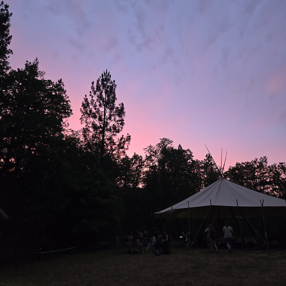 Pink and purple sunset.