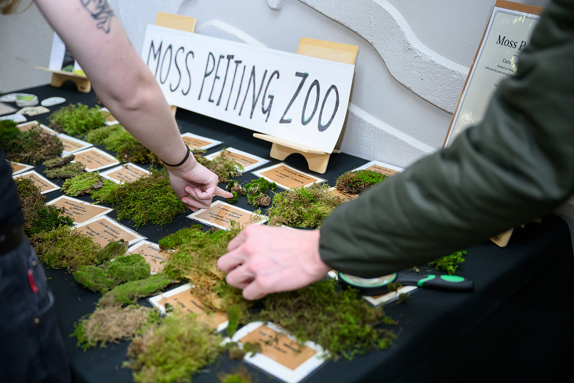 A popular event during the week is the Moss Petting Zoo.