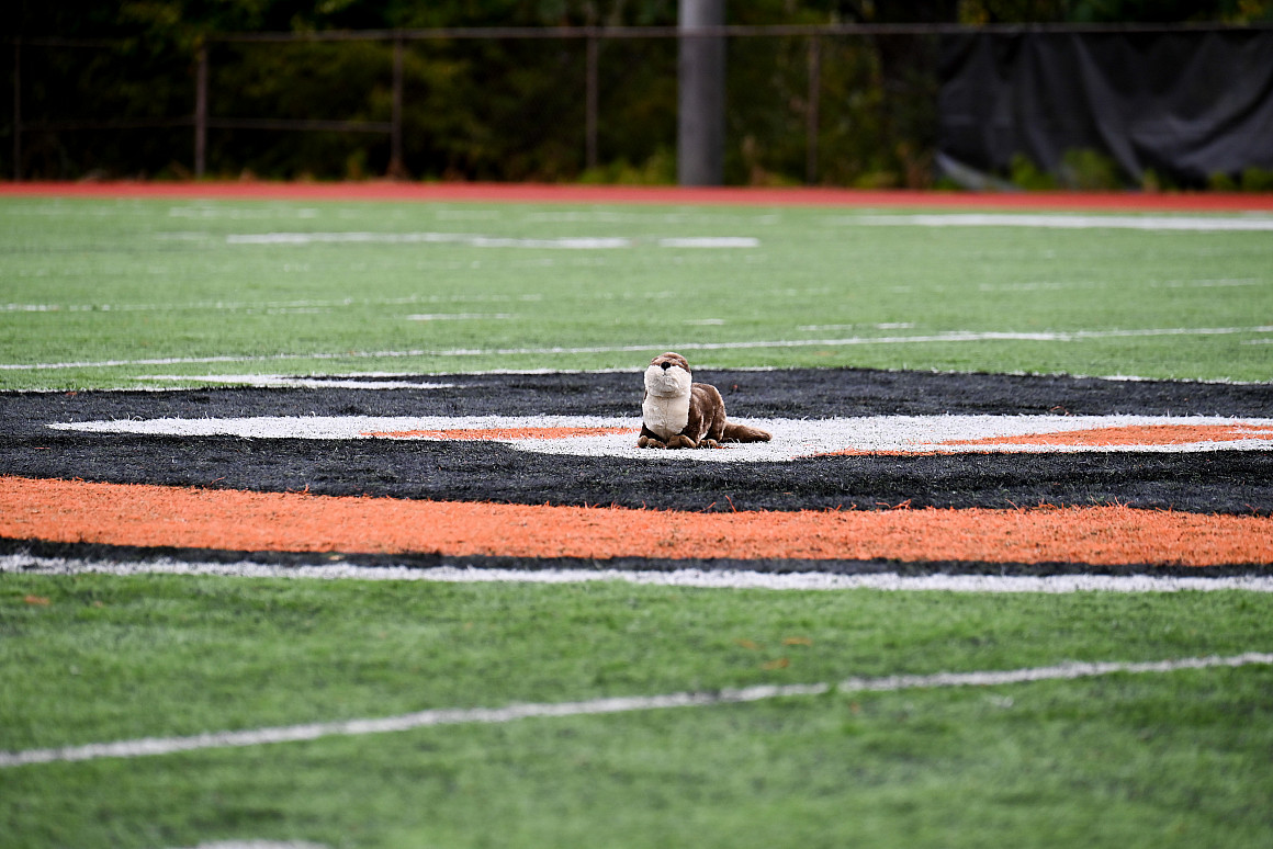 River otter plush sitting in the middle of the football field.