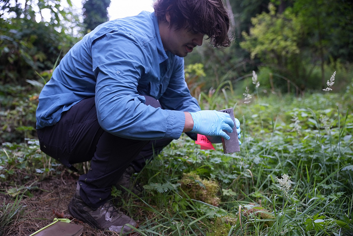 Early each morning, Burkhard and her students checked the devices to determine how many mice were active during the night.