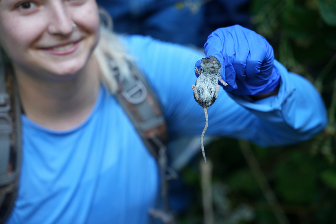 One research project involved studying a phenomenon known as lunar phobia.