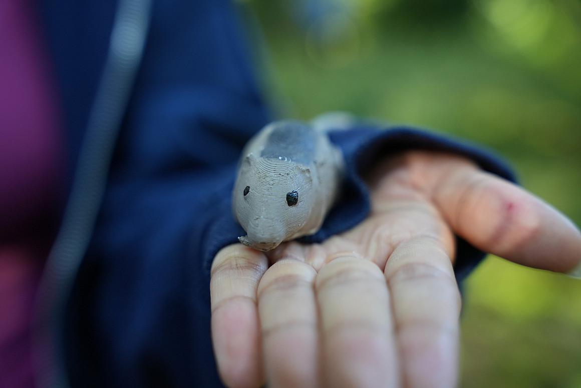 Angie Cabarle BA '25 investigated predator behavior by placing lifelike deer mouse models in various places throughout the park.