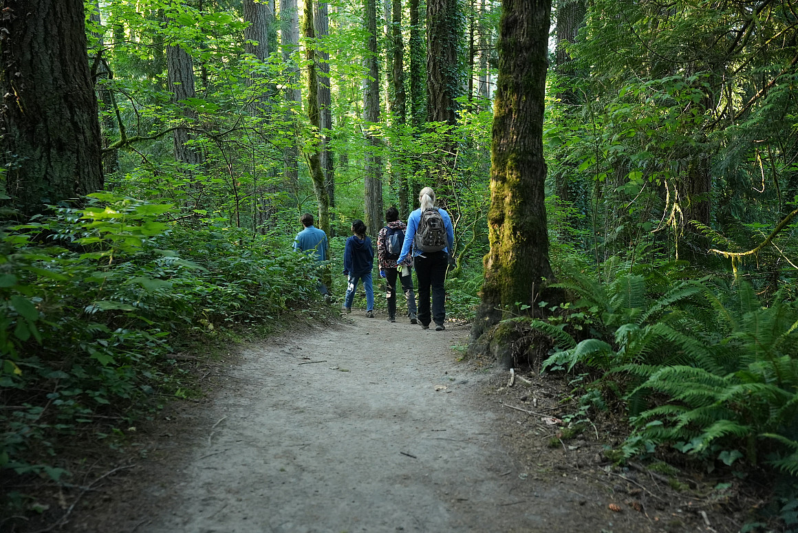 Assistant Professor Tracy Burkhard and her students conducted their research in nearby Tryon Creek State Natural Area.