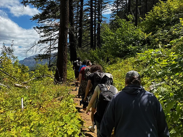 Students walking on a path outside, surrounded by large trees.