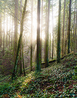 Our campus is as green as it gets.