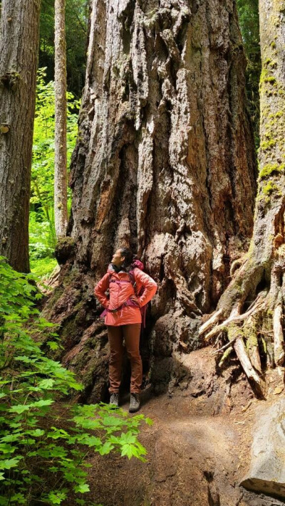 Mila Pruiett '22, in front of a massive tree, a subject of her studies.